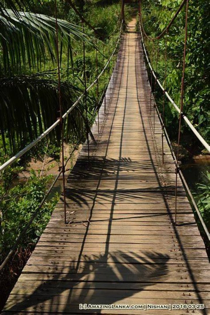 Lankagama Sangili Palama (Hanging Bridge)