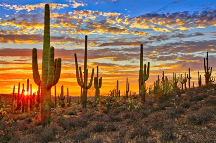 Los desiertos de Sonora de Paty Godoy Viaje con Escalas