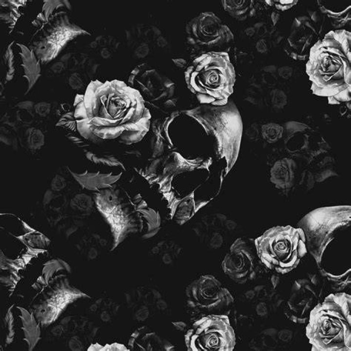 Lost Love Liquid Concepts