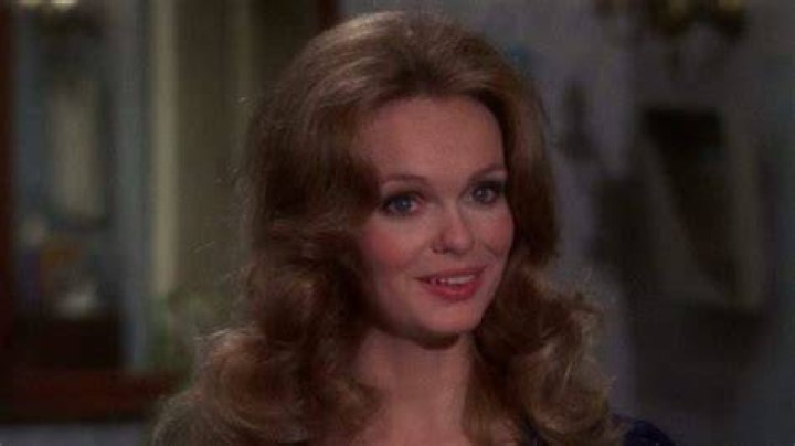 Lynda Day Played Casey on "Mission Impossible." See Her Now at