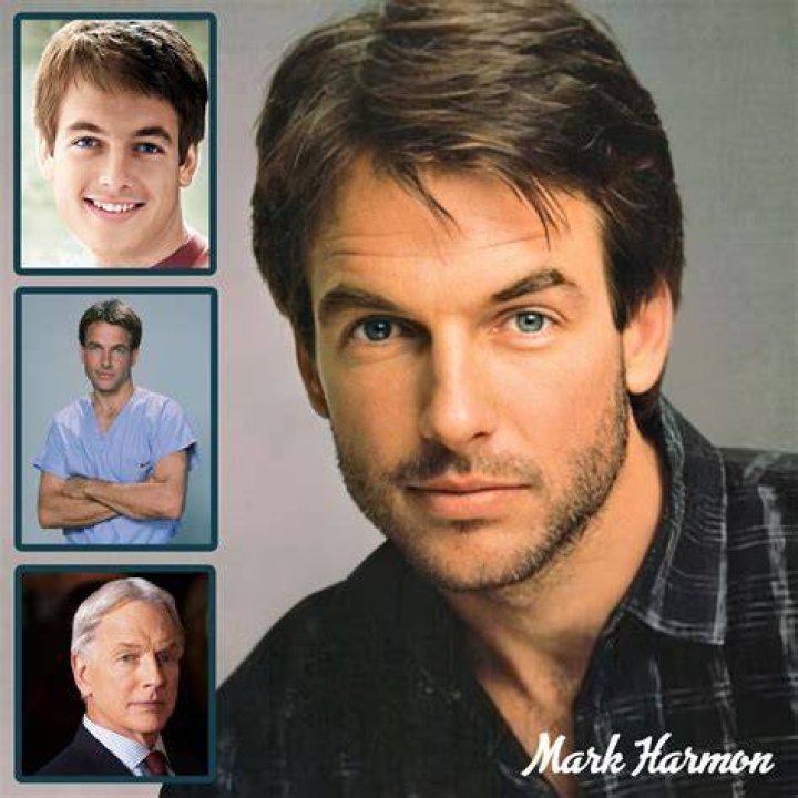 Mark Harmon&rsquo;s Family Tree Who Are His Famous Relatives..? Curious World