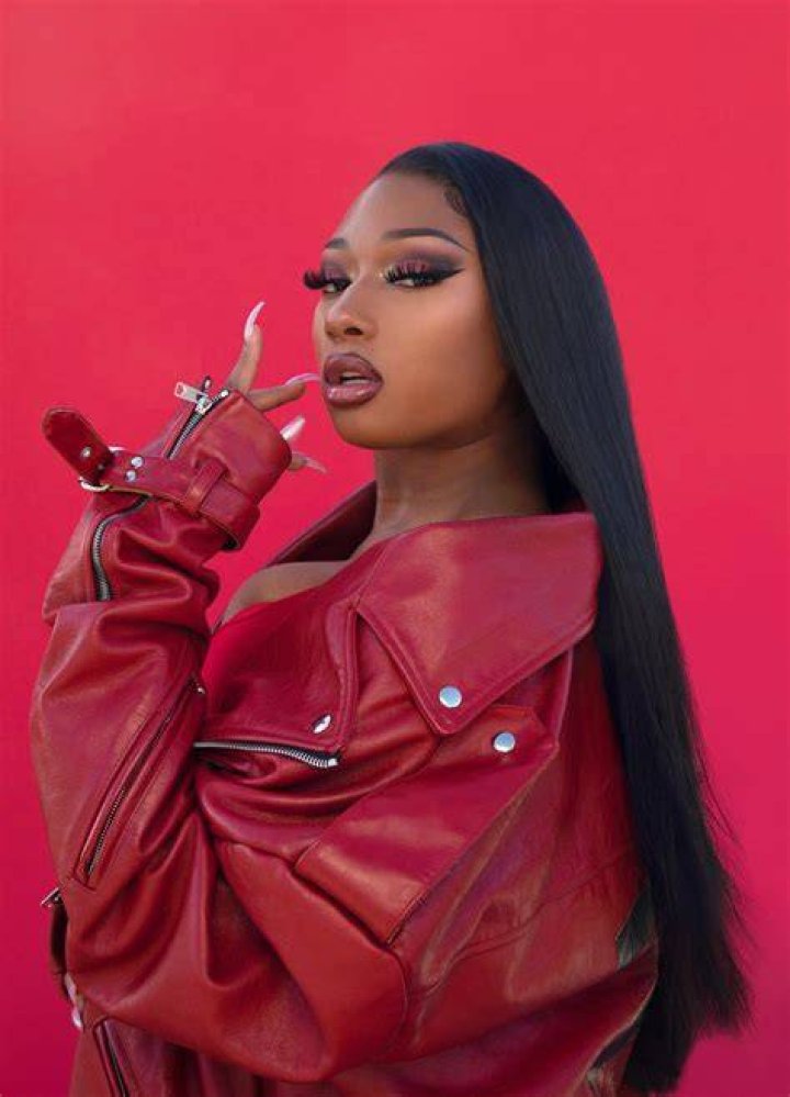 Megan Thee Stallion HilaryAngelo