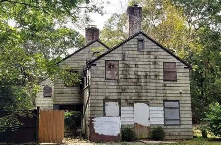 Michael Gladstein House NY Pet Hoarding Home Urban Splatter