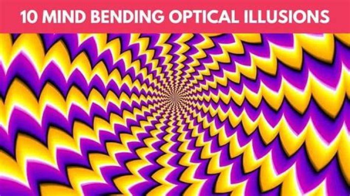 Mind-bending Optical Illusion Challenge You to Find the Hidden Hippopotamus in 15 Secs