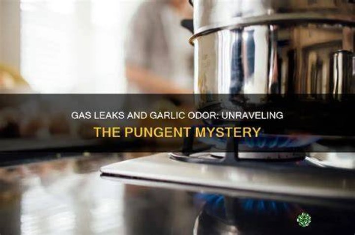 Missing Carlie Marie Leak: Unraveling The Mystery