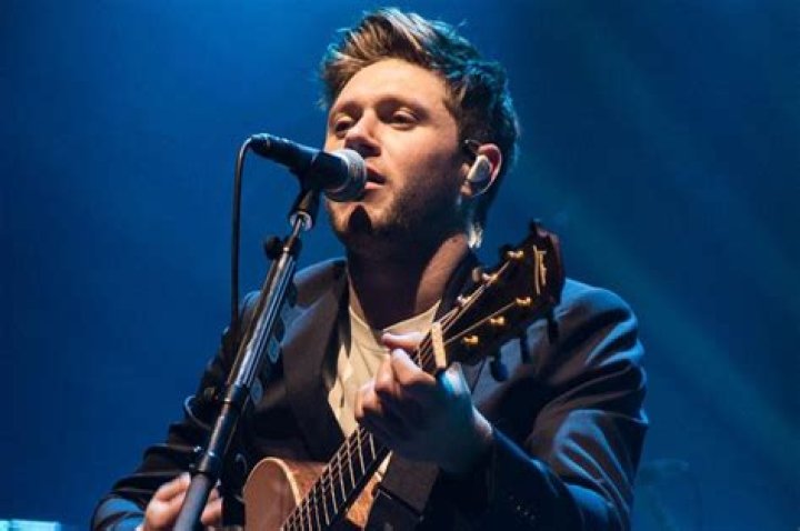 Niall Horan singing