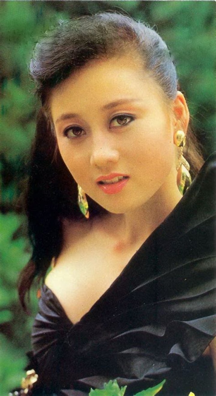 Nina Li Chi, 1980s Brigitte lin, Loretta lee, Jackie chan