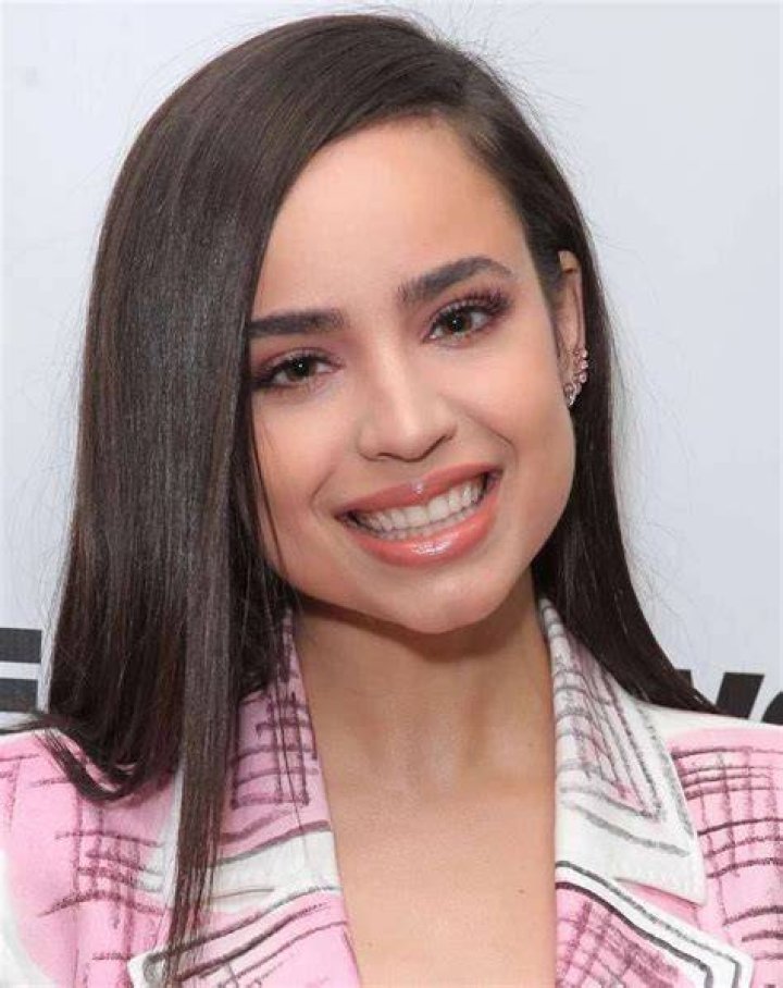 Pagestealer (PageStealer) Sofia carson, Sophia carson, Booboo stewart