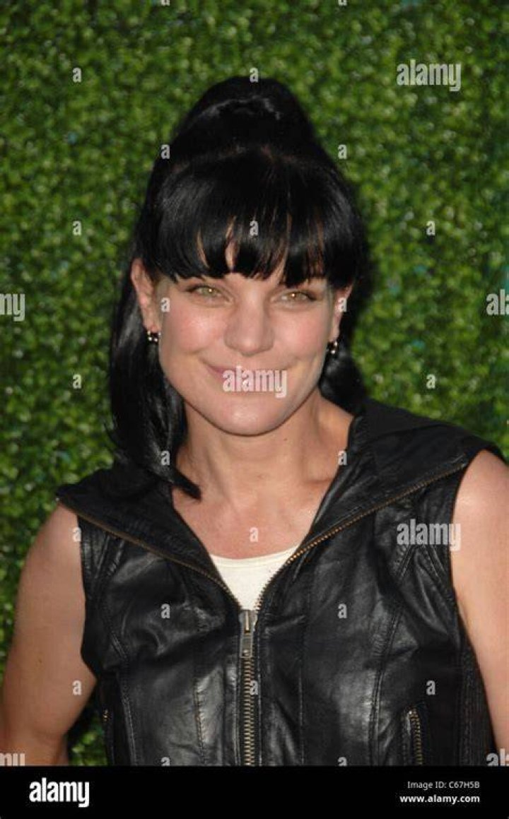 Pauley Perrette CW, CBS and Showtime Summer TCA Party (2012.07.29