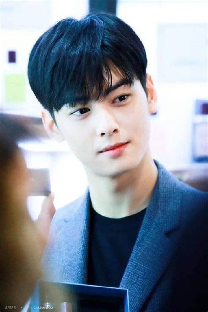 Pin on Cha Eunwoo차은 우