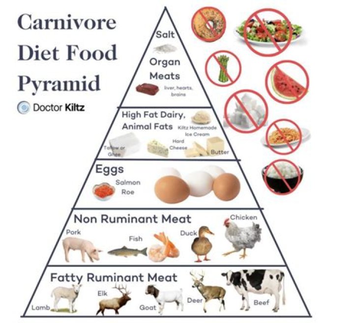 preferable Observation T carnivore diet jordan peterson and his
