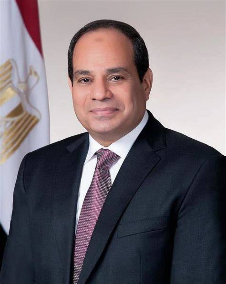 President of Egypt, Abdel Fattah AlSisi, Steps in to Save Yasmin Abdel