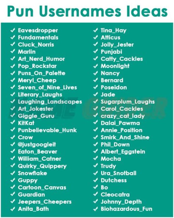 Pun Usernames 600+ Catchy And Creative Pun Usernames Ideas NamesBee