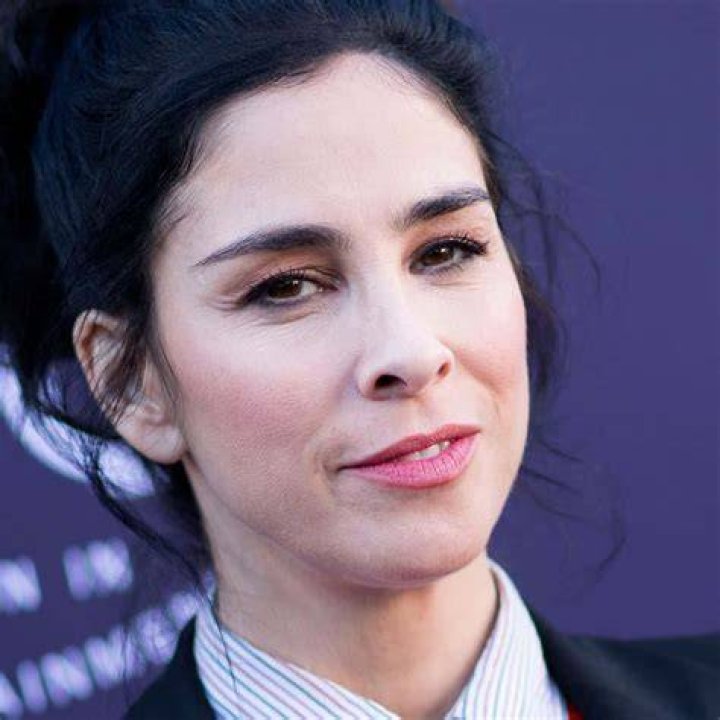 Sarah Silverman Defines &lsquo;Woke&rsquo; for Newsmax The New York Times