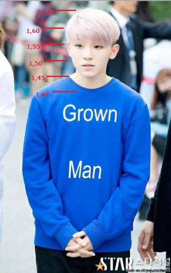 SEVENTEEN Woozi Profile, Height, Dating, Facts & Information (Updated