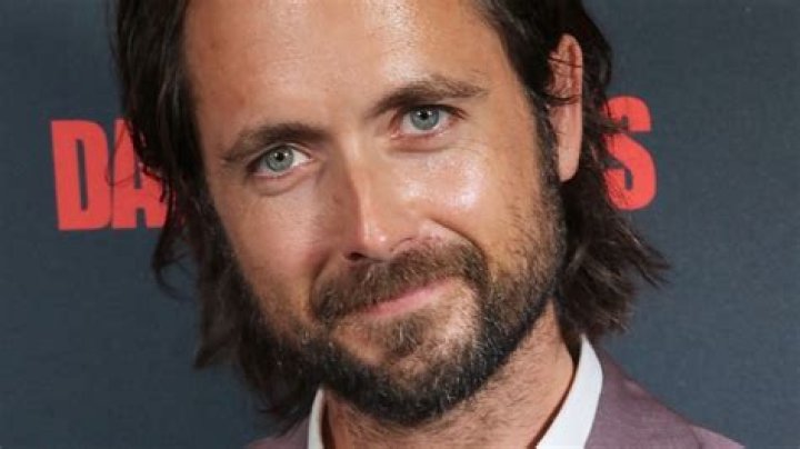 Shameless Star Justin Chatwin Compares Fiona And Jimmy's Relationship