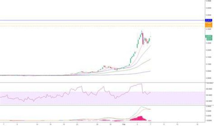 SHMP Stock Price and Chart &mdash; OTCSHMP &mdash; TradingView
