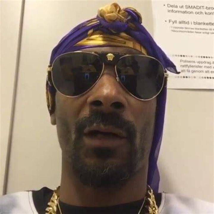 Snoop Dogg Arrested in Sweden on Illegal Drug Suspicions Snoop Dogg