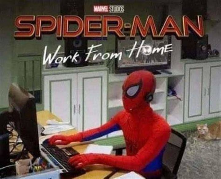 SpiderMan work from home Funny marvel memes, Marvel funny, Superhero