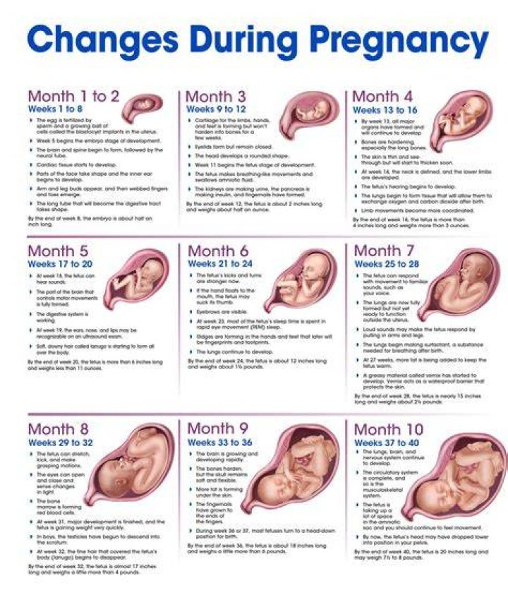 Squirting During Pregnancy And 6 Weeks After Caesarean Section