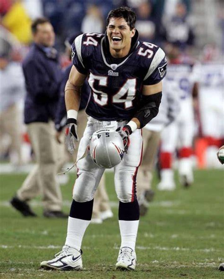 Tedy Bruschi Net Worth, Age, Birthday, Wikipedia, Who, Nationality, Biography