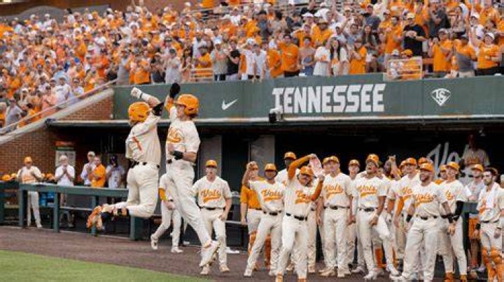 Tennessee baseball's Tony Vitello joining MLB Network for 2024 MLB draft