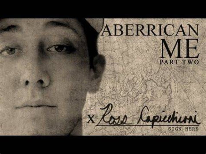 The Extraordinary Journey Of Ross Capicchioni
