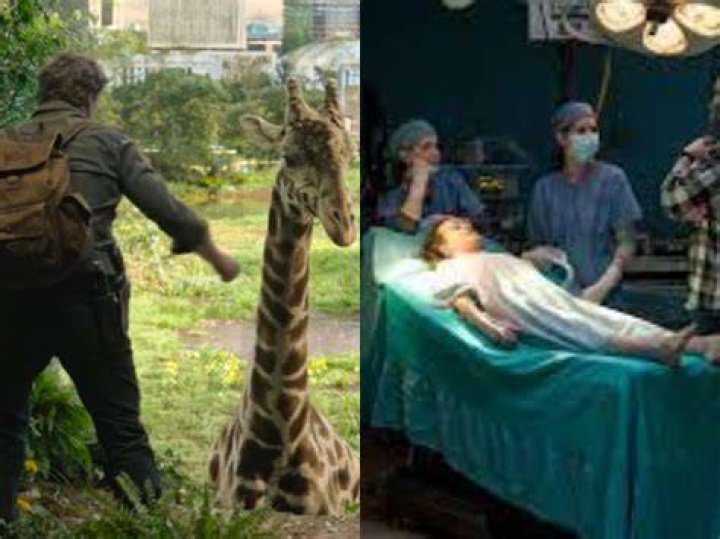The Last of Us Used Real, Trained Giraffes and an Abandoned Hospital in Season Finale