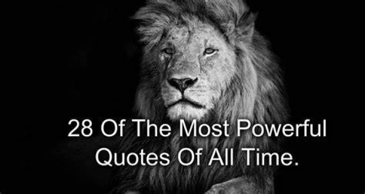 The Most Powerful Quotes and Life Lessons From The Lion King