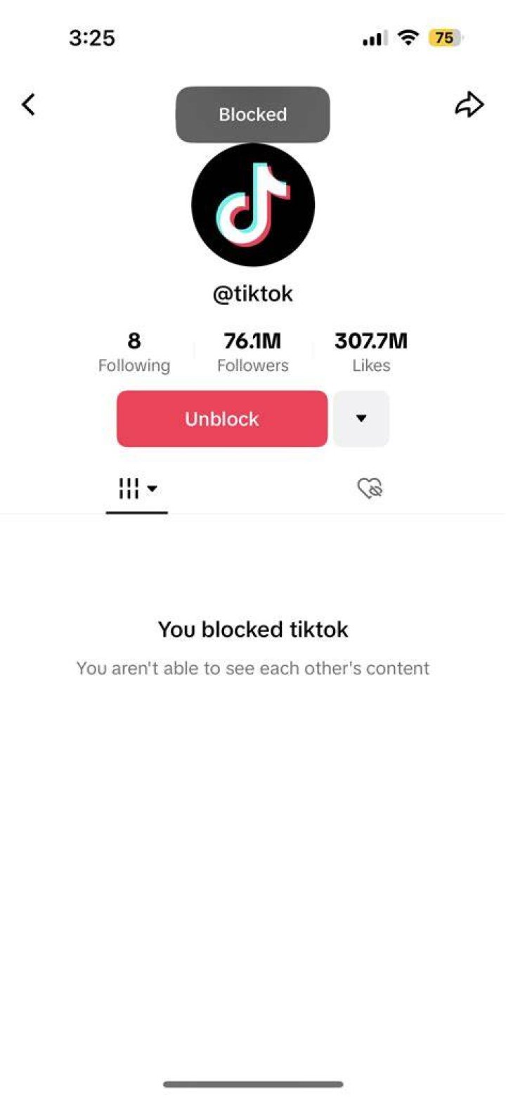 TikTok Blocking And Profile Visibility