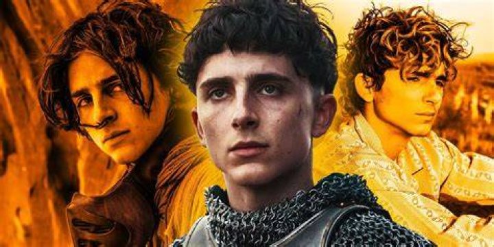 Timothée Chalamet Movies, Ranked