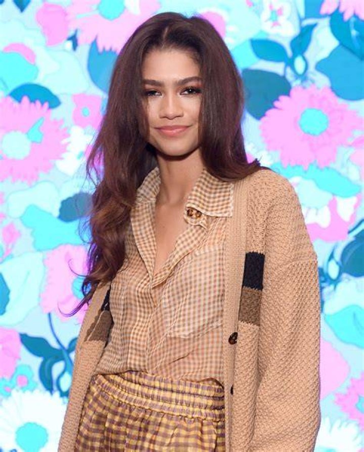 Top 46+ imagen zendaya ethnic background Thpthoanghoatham.edu.vn