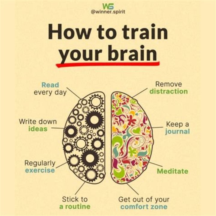 Train Your Brain Advantage Quest Publications