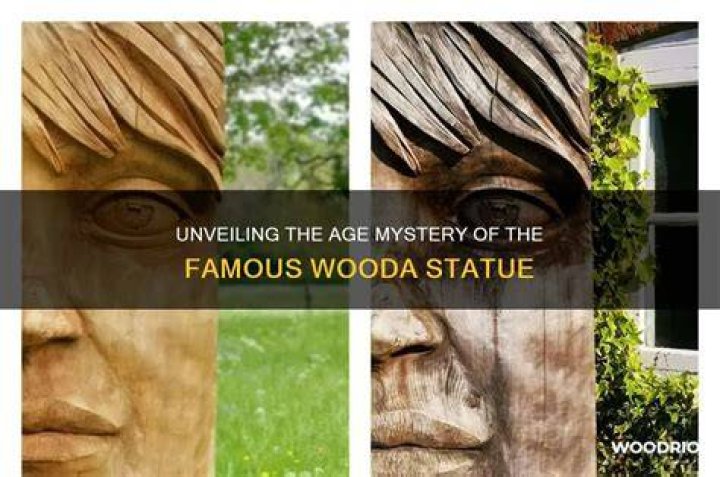 Uncover The Intriguing Story Behind "How Old Is Famous Wooda"