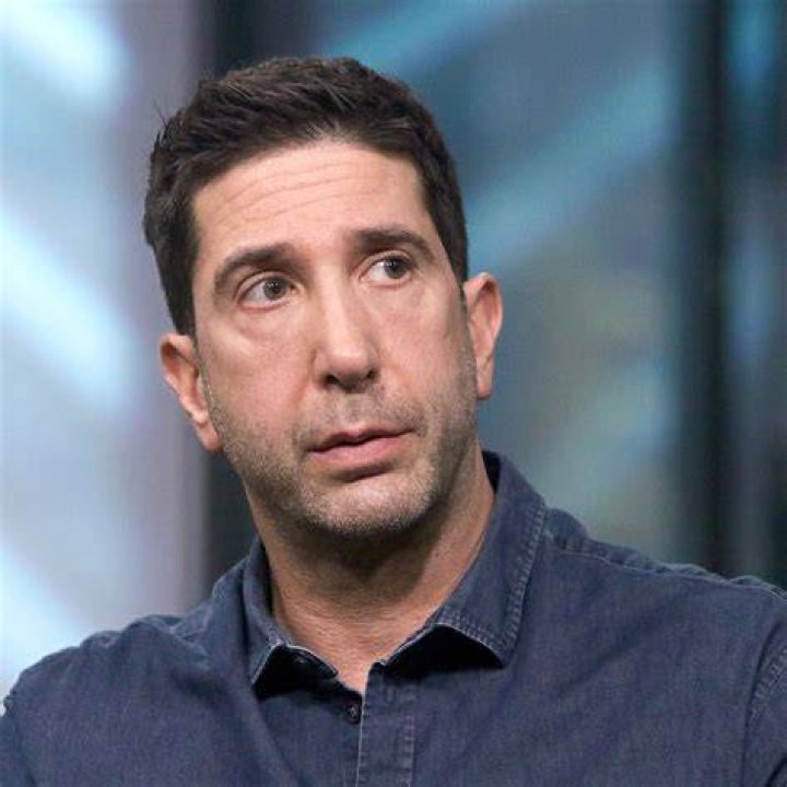 Uncovering The Impact Of David Schwimmer's Upbringing