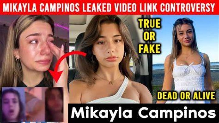 Unlock The Viral Power Of "Mikayla Campinos Pickles Account Video": Uncover Secrets And Insights