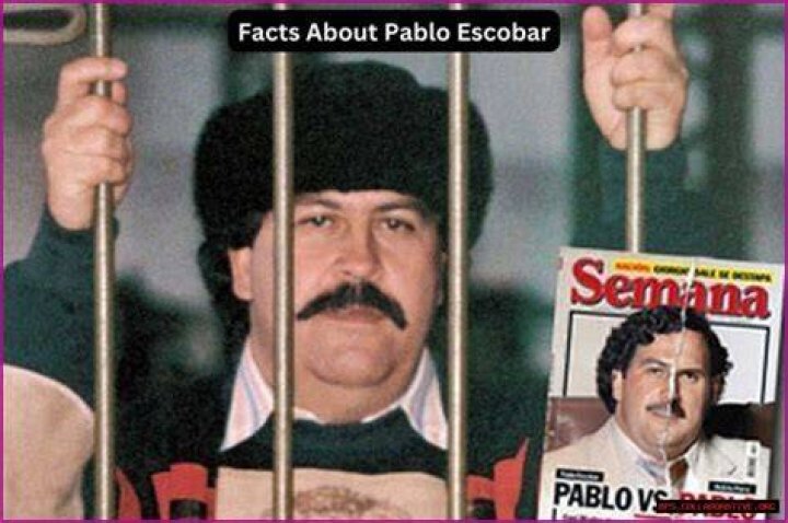 Untold Wealth: Exploring Escobar's Mammoth Fortune