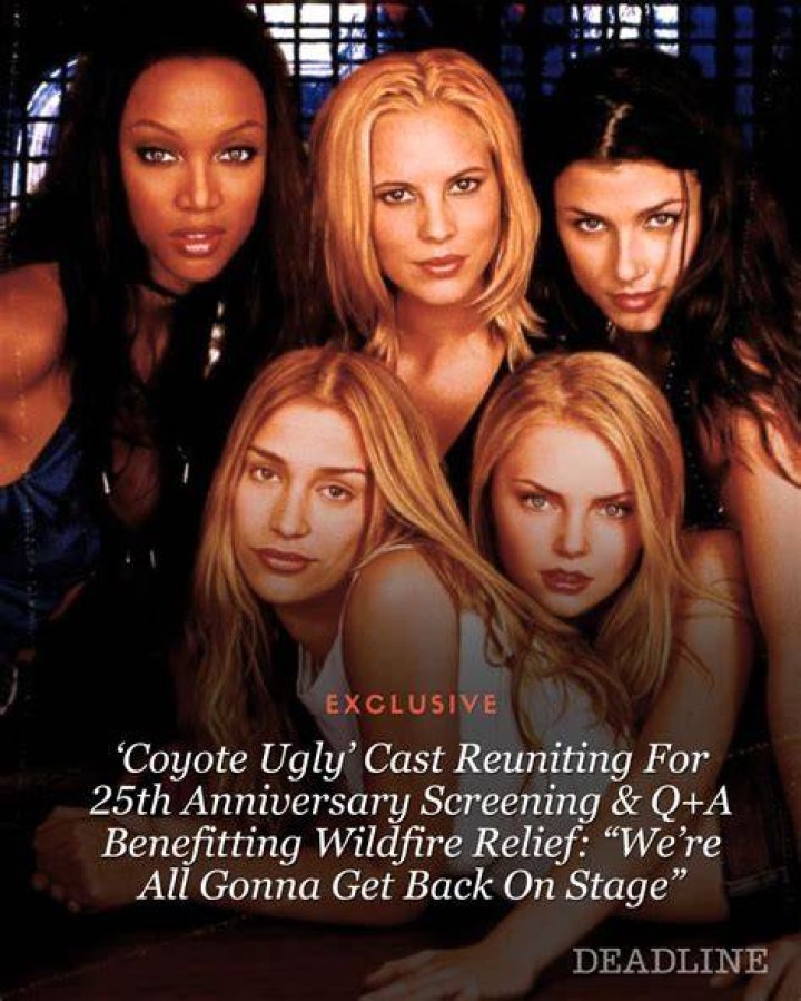 Unveiling The Coyote Ugly Cast's Thriving Careers