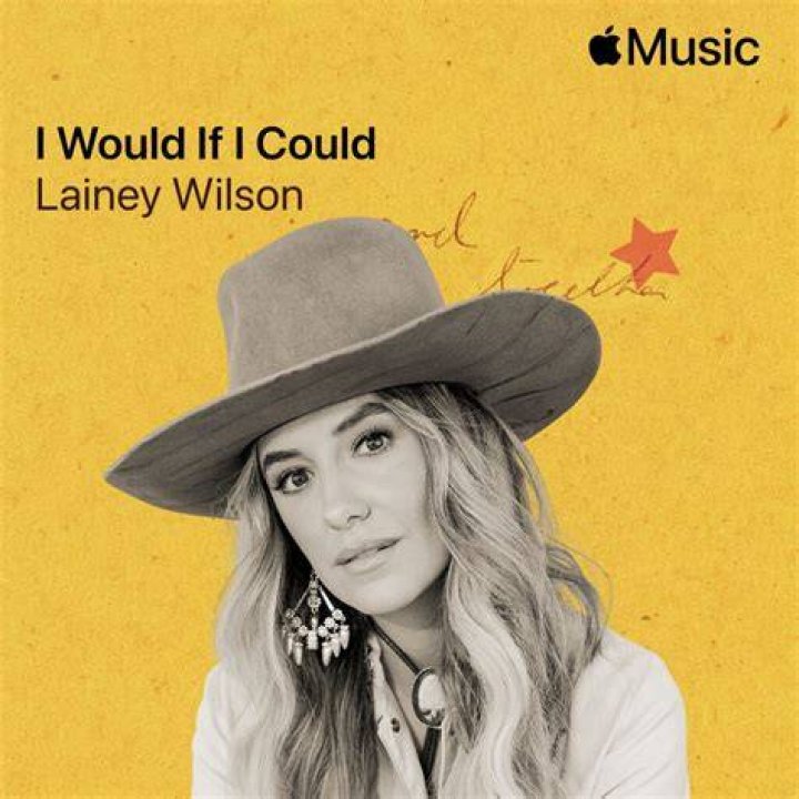 Unveiling The Depth Of Emotions In "Lainey Wilson I Would If I Could"