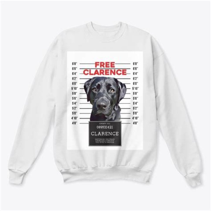 Unveiling The Extraordinary World Of King Clarence The Black Lab