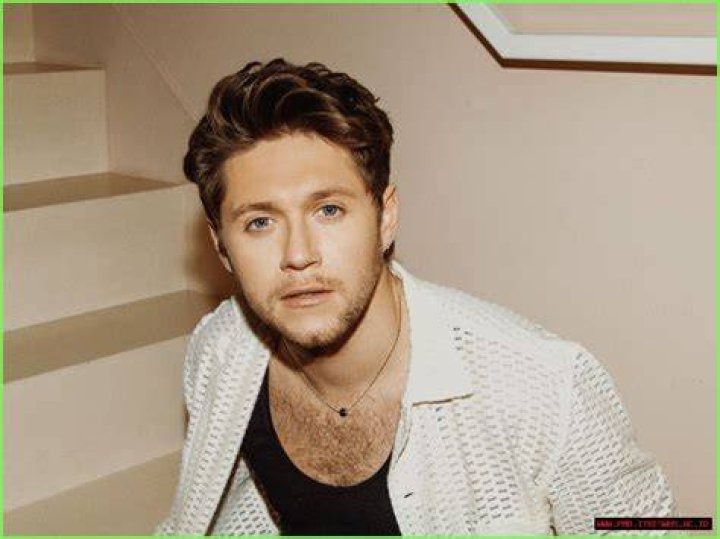 Unveiling The Truth: Niall Horan's Sexuality Explored