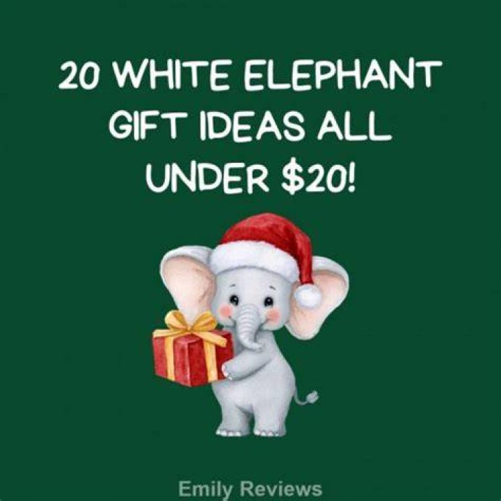 Unwrap Unforgettable White Elephant Gifts Under $20: The Ultimate Guide