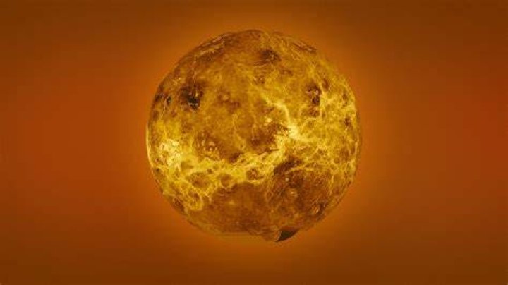 Venus Venus