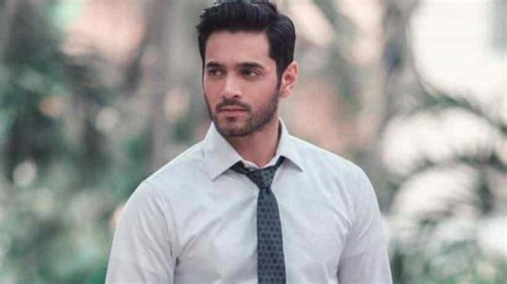 Wahaj Ali Net Worth 2023, Age, House, Salary, Height and Weight NAYAG