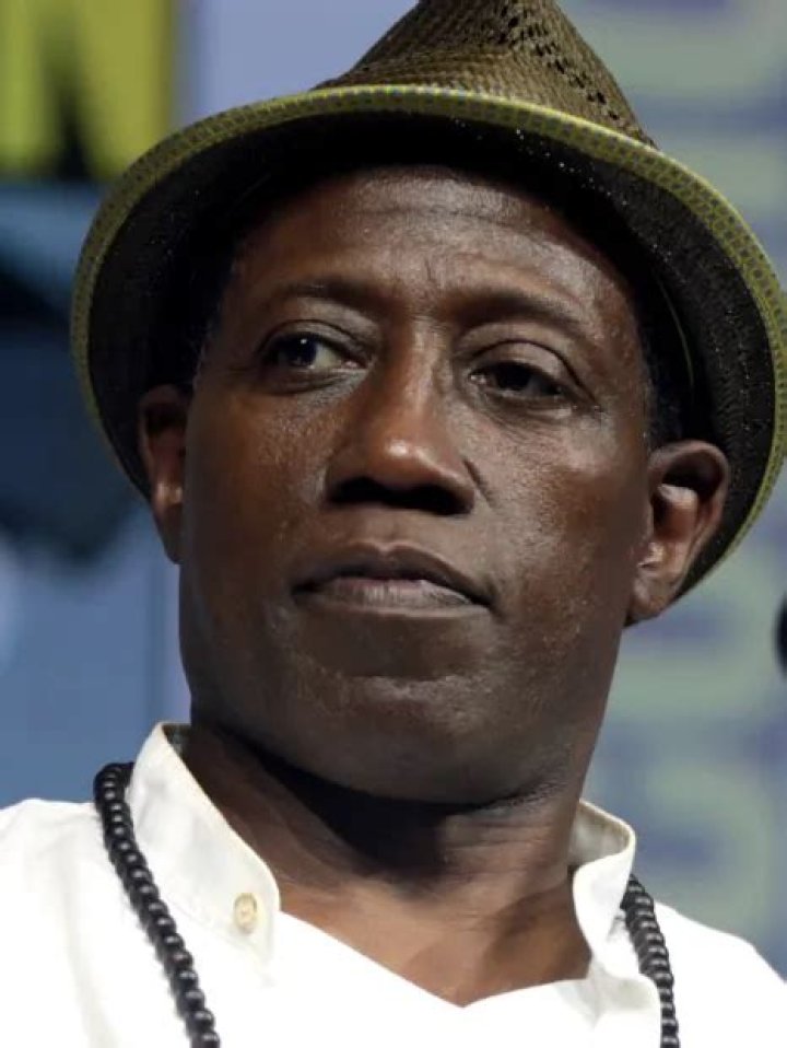 Wesley Snipes Bio, Age, Net Worth, Height, Divorce, Facts