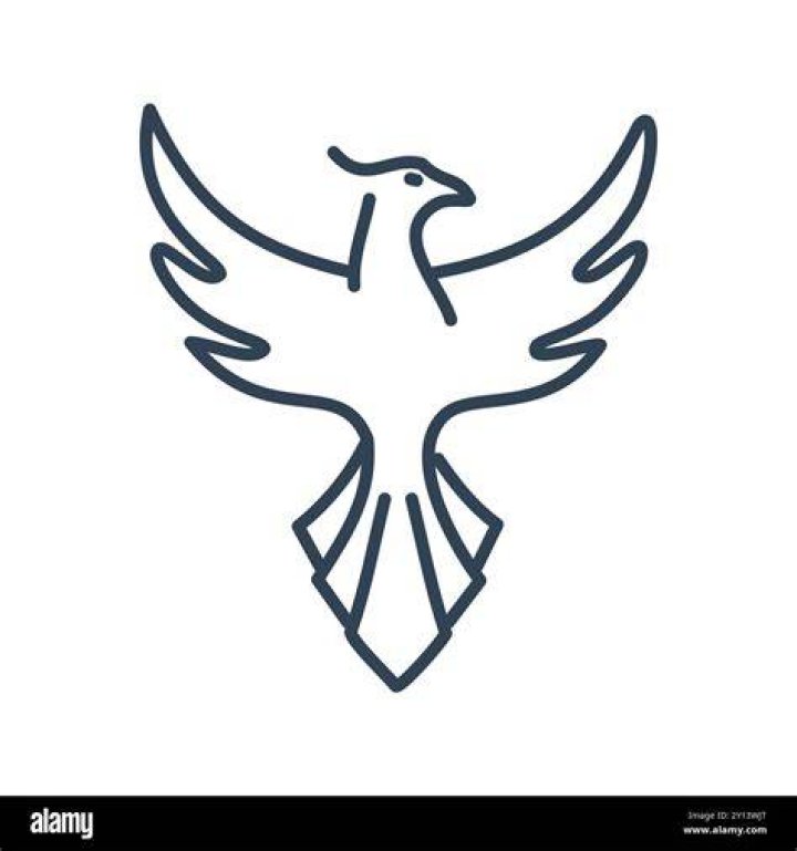 What bird is a symbol of bad luck? [2022] 🐬
