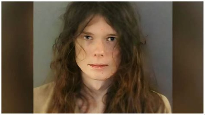 What did Connor Crumrine do? Son arrested after Florida elementary