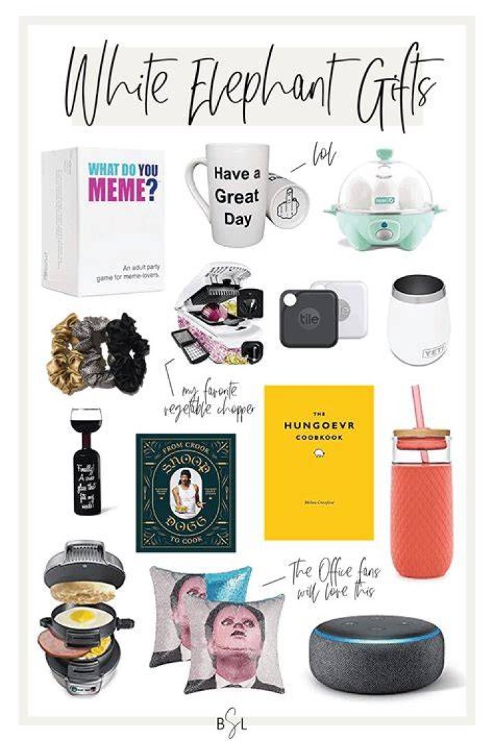 White Elephant Gifts Everyone Will Fight For Under 25 (Travel Inspired