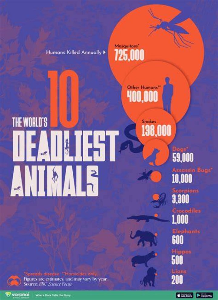 Who is the deadliest Pok&eacute;mon?