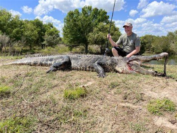 Who Won The 350 Alligator Tags In Louisiana 2023